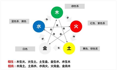 植物五行|植物的五行